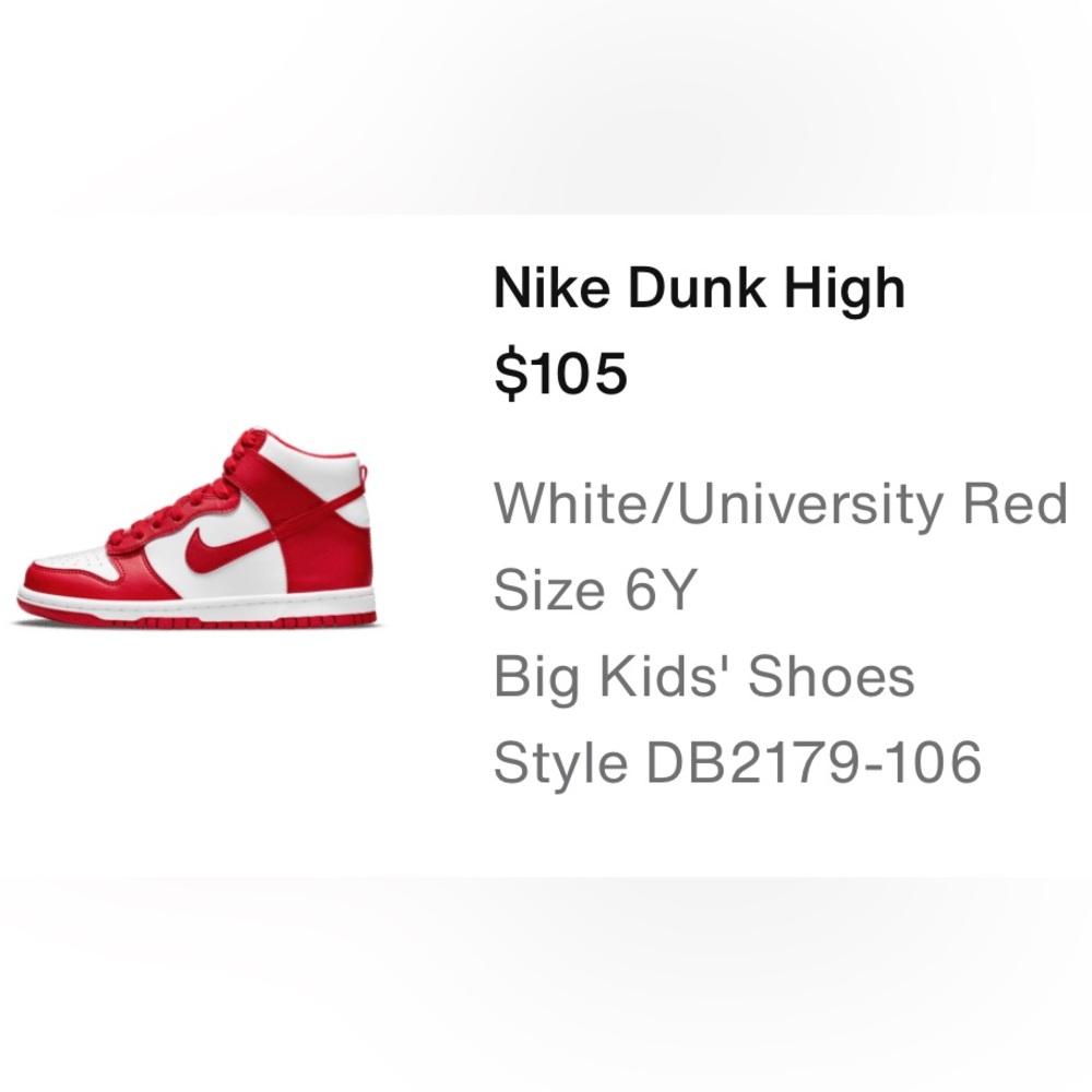 Nike Dunk High